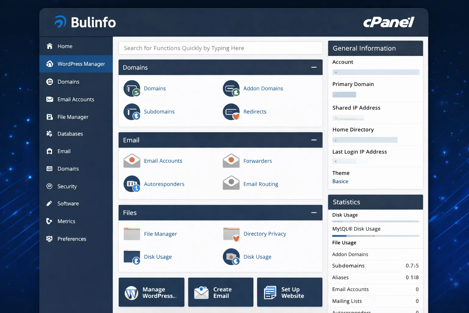 Bulinfo hosting cPanel dashboard for managing WordPress websites, domains and hosting settings