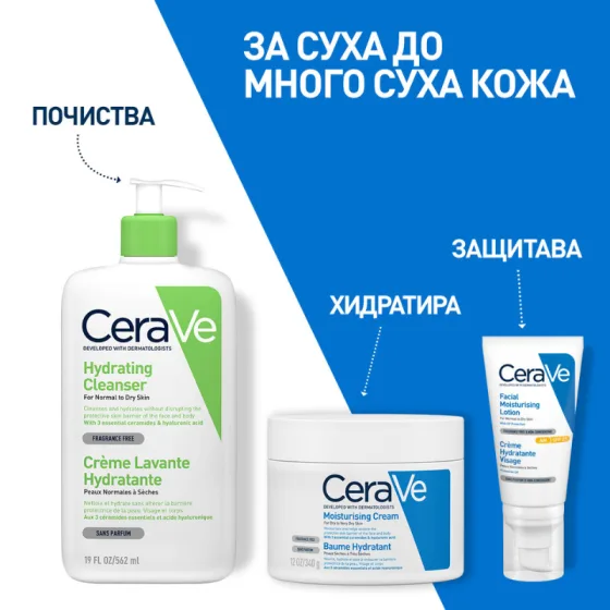 iem bg 7
