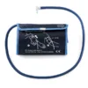 iem bg 1