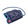 iem bg 1