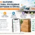 Органайзери от TEMU – практични идеи за кухнята, банята и гардероба