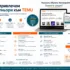 TEMU Affiliate или Influencer Program – каква е разликата