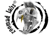 Zoomad Labs